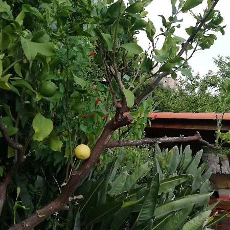 Appartamento Maison Trucchi *